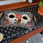 House Inside Garden *