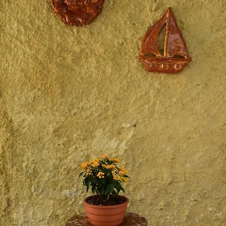 House Inside Garden *